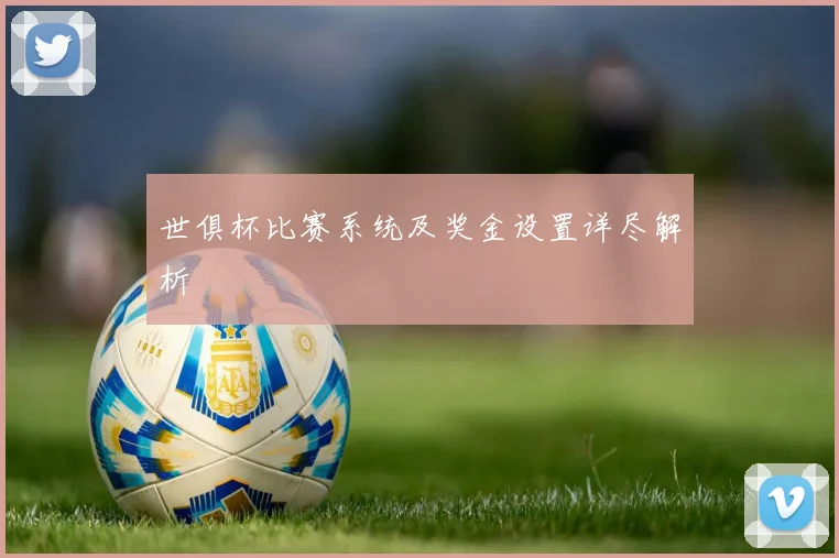 世俱杯比赛系统及奖金设置详尽解析