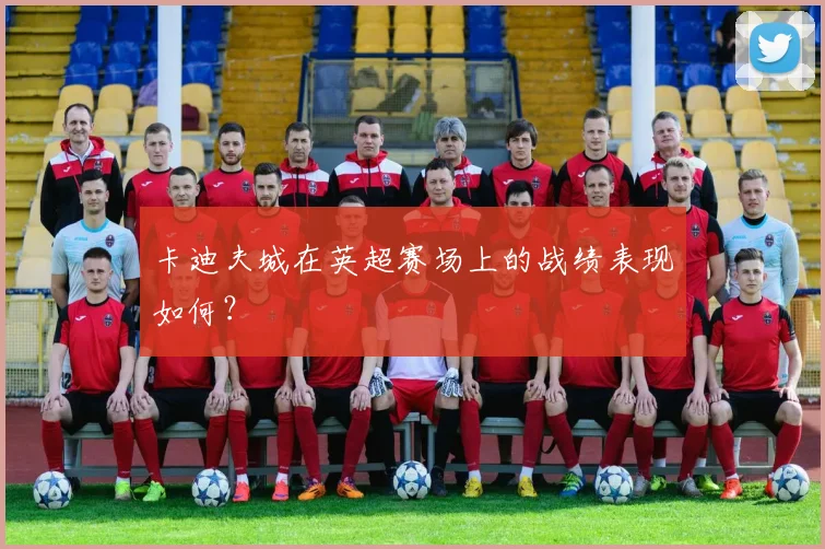 卡迪夫城在英超赛场上的战绩表现如何？